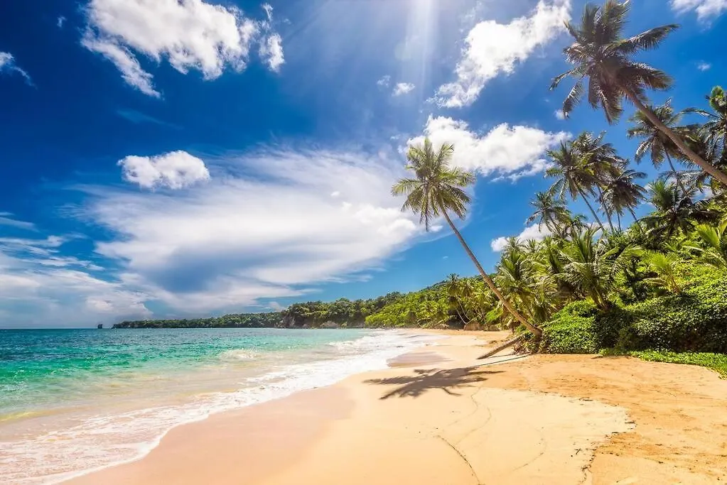 Lejlighed Beach House Bloom - Cabarete Luxury Rentals