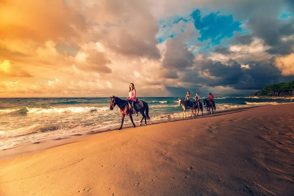 Beach House Bloom - Cabarete Luxury Rentals